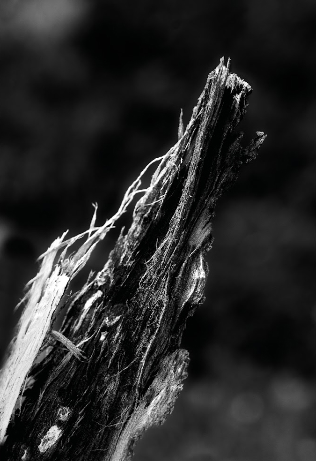 © Sabine Schrayen © Sabine Schrayen